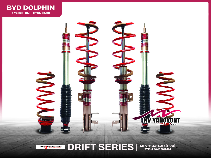 BYD DOLPHIN (STD) - DRIFT