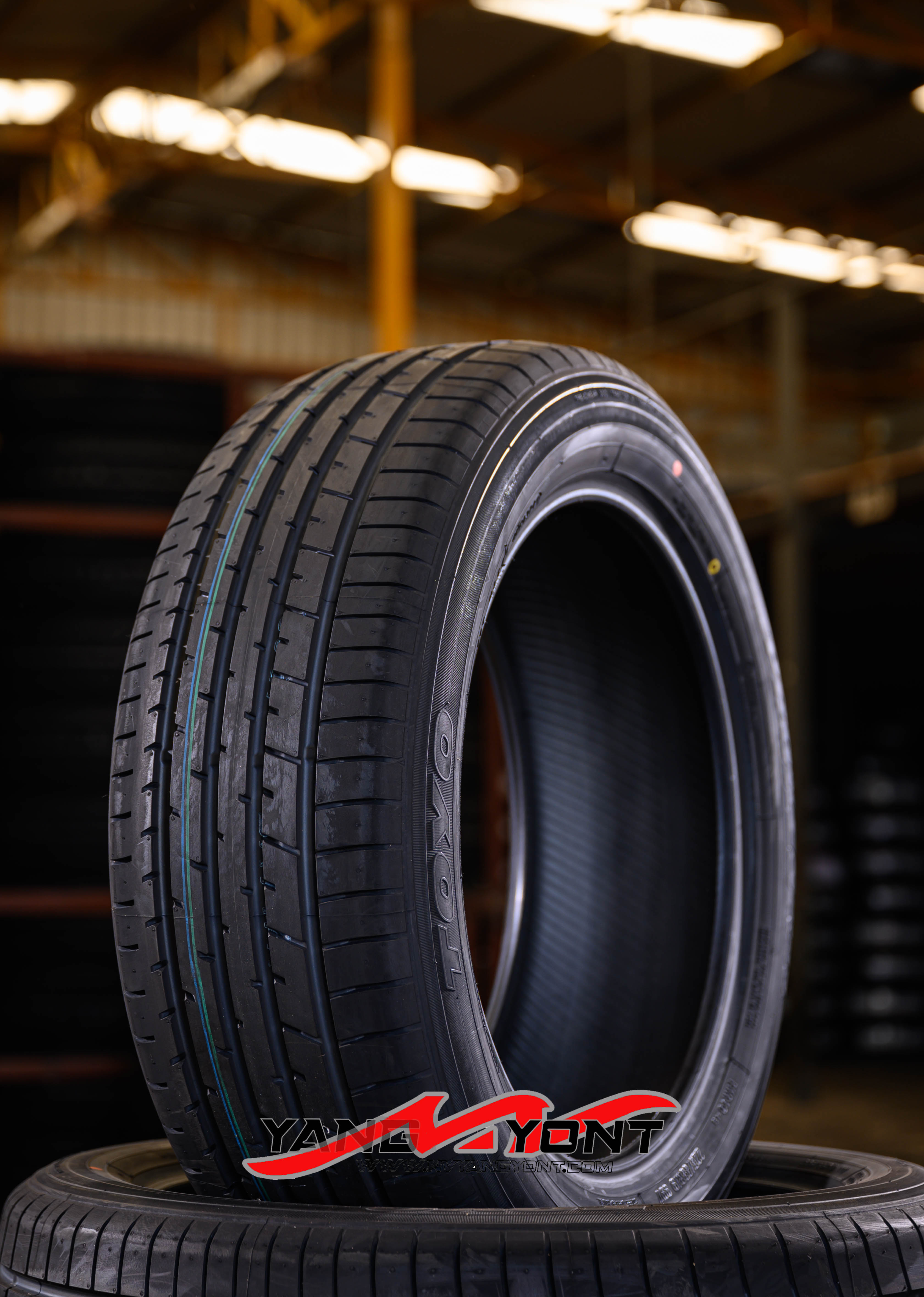 225/55R19 PROXES R46